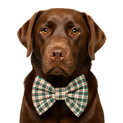 LINEN HOLIDAY PLAID- DAPPER DEXTER DOG BOW TIE