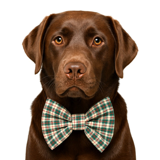 LINEN HOLIDAY PLAID- DAPPER DEXTER DOG BOW TIE