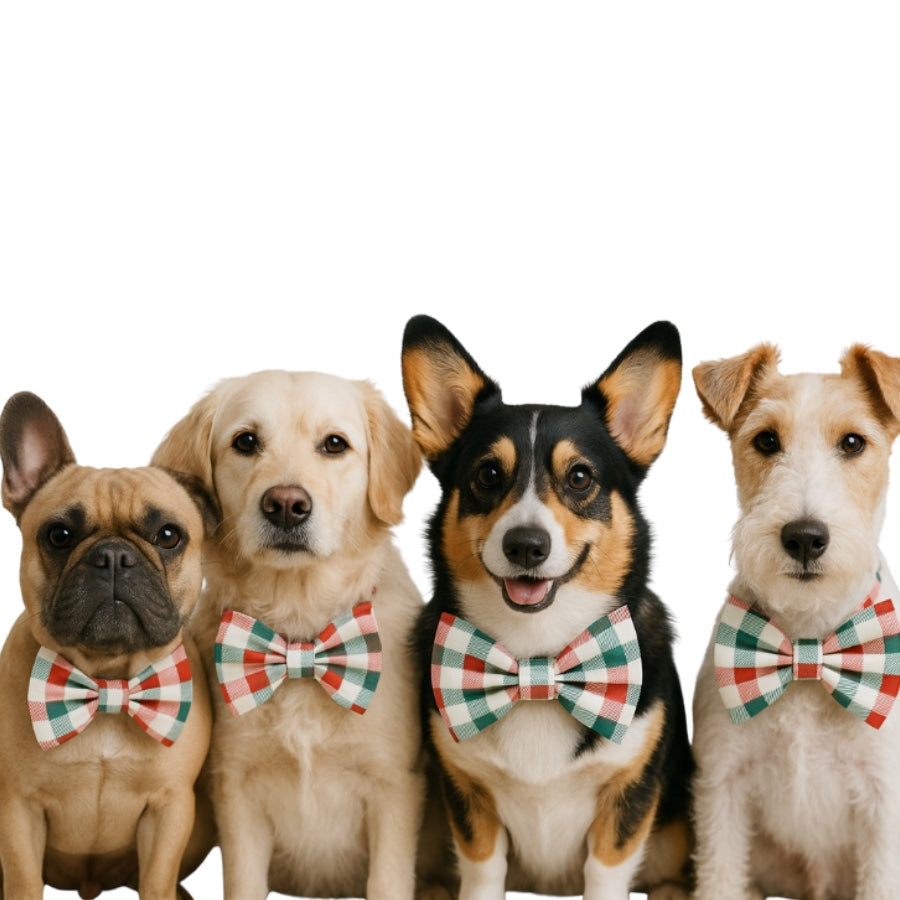 CHRISTMAS PLAID  - DAPPER DEXTER DOG BOW TIE