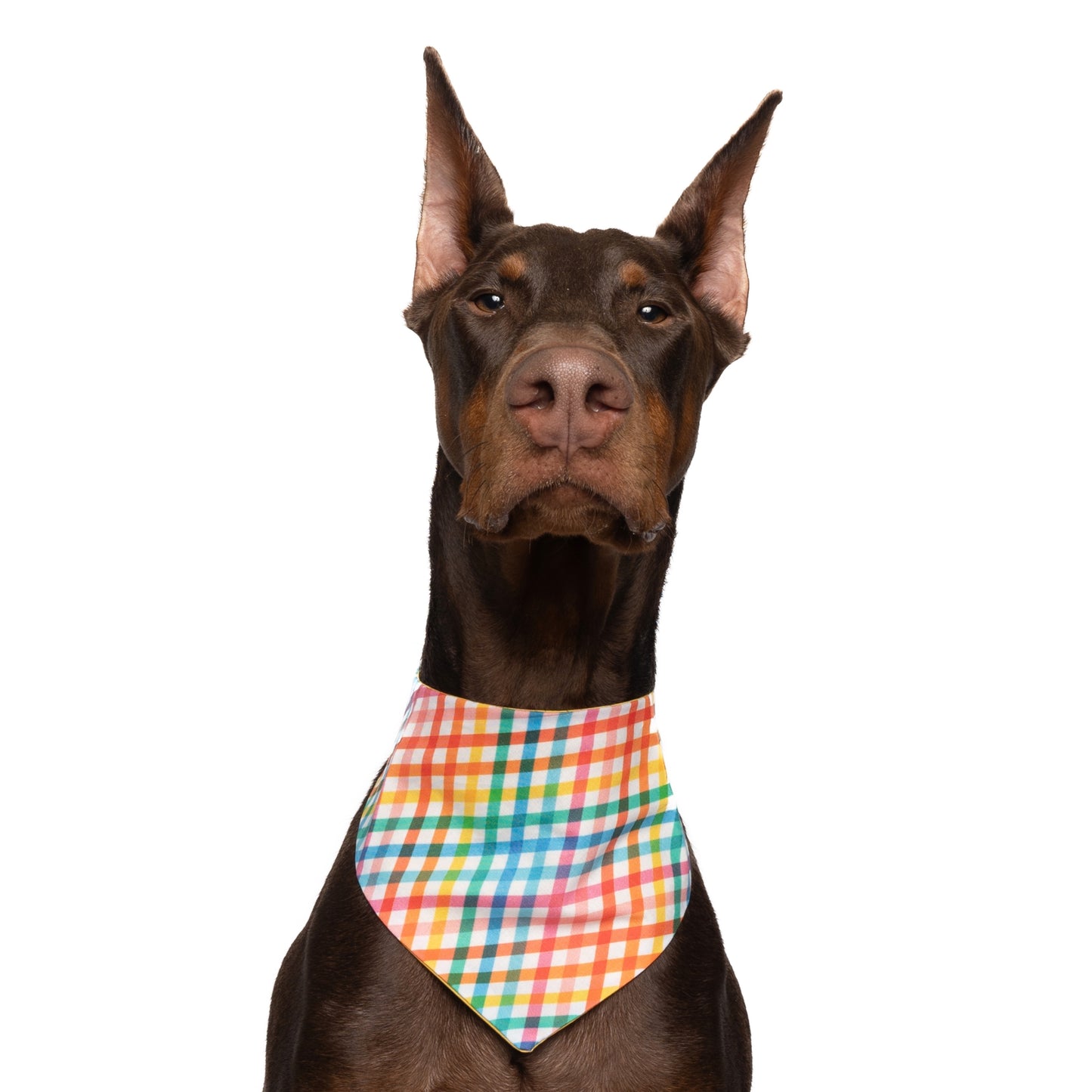 RAINBOW PLAID - CLASSIC DOG BANDANA