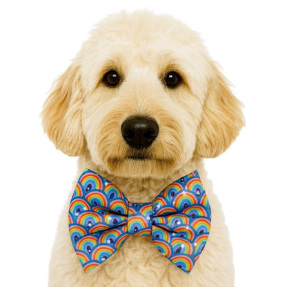 RAINBOWS - DAPPER DEXTER DOG BOW TIE