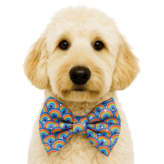 RAINBOWS - DAPPER DEXTER DOG BOW TIE
