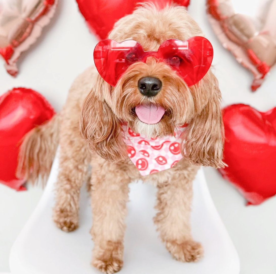 20 VALENTINES DAY CLASSIC BANDANAS (WHOLESALE)