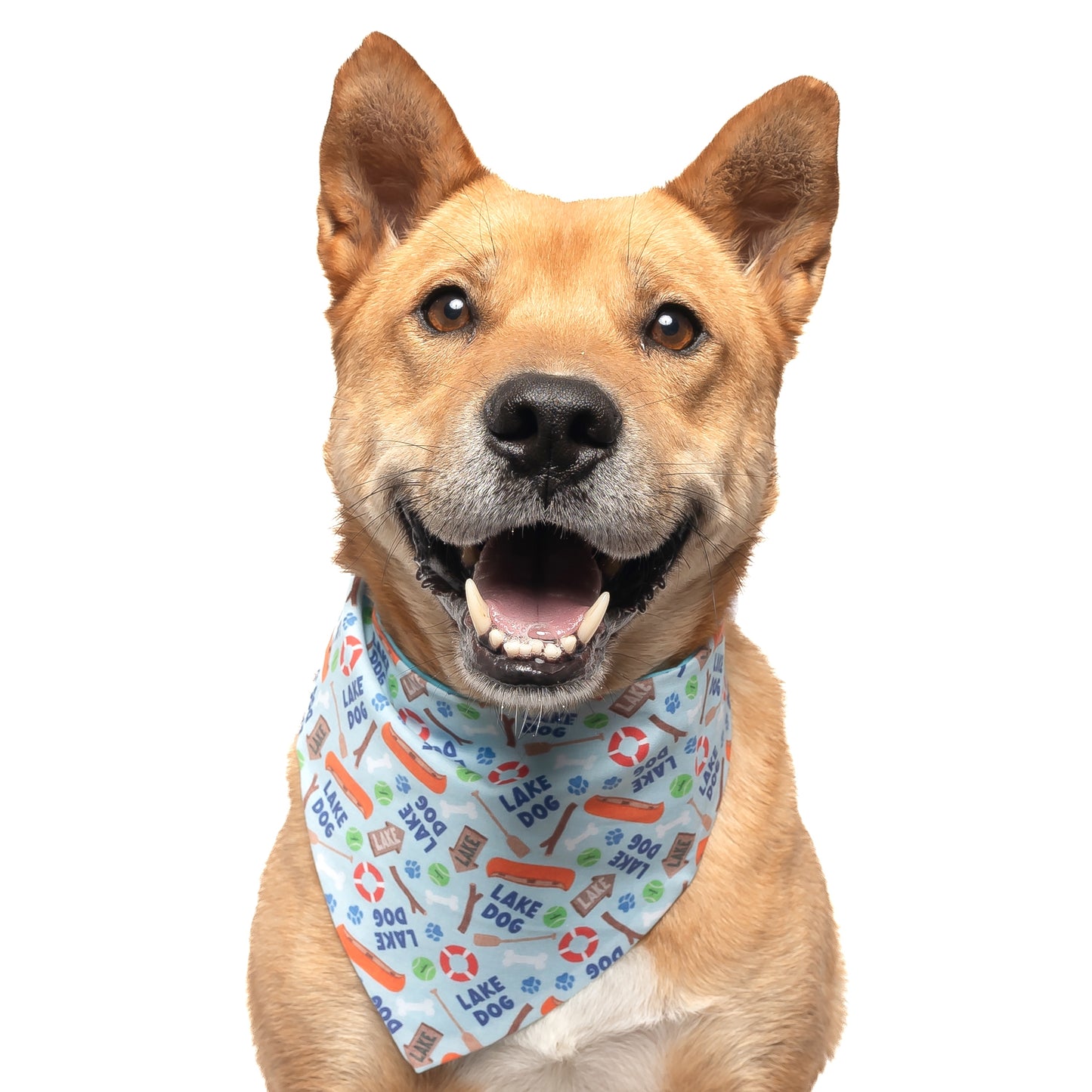 LAKE DOG - CLASSIC DOG BANDANA