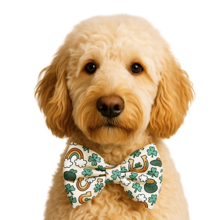 LUCKY - DAPPER DEXTER DOG BOW TIE