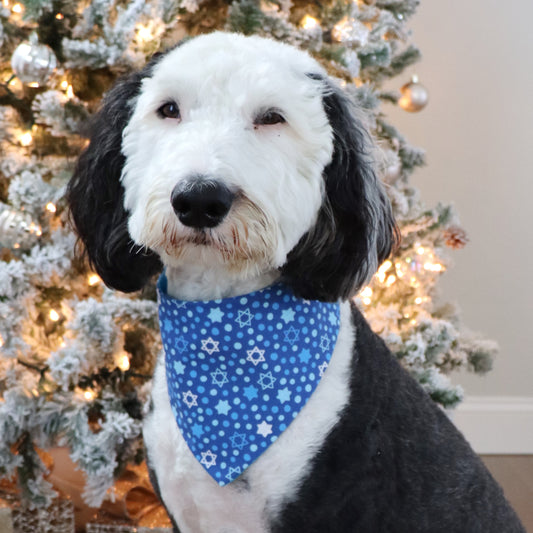 HANUKKAH -  CLASSIC DOG BANDANA