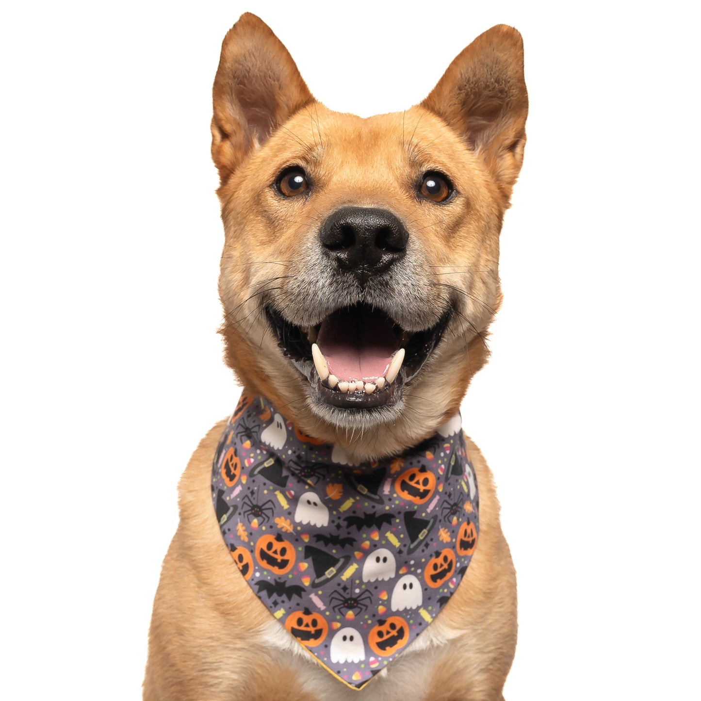 GRAY WITH GHOST AND PUMPKINS - CLASSIC DOG BANDANA