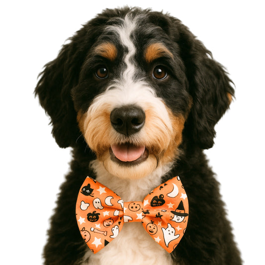 ORANGE SPOOKY CUTE- DAPPER DEXTER DOG BOW TIE