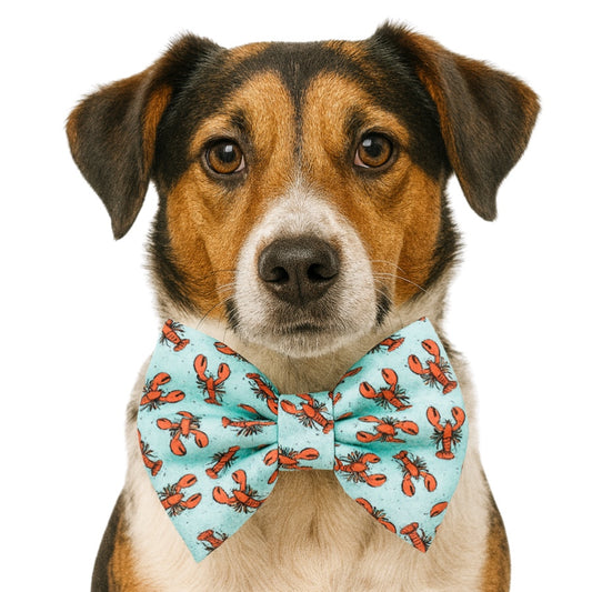 WATERCOLOR LOBSTERS - DAPPER DEXTER DOG BOW TIE