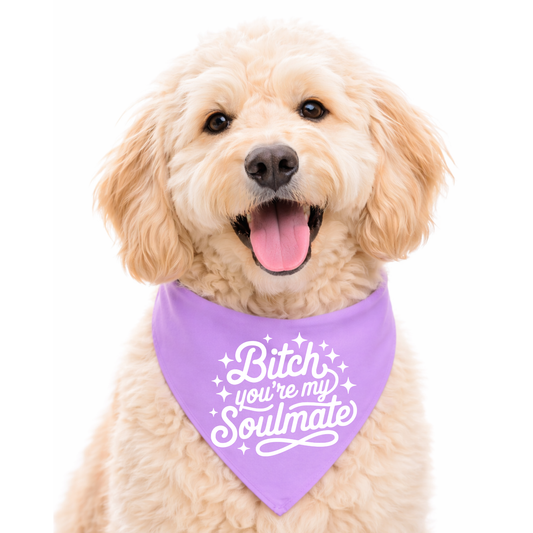 SOULMATE - CLASSIC DOG BANDANA