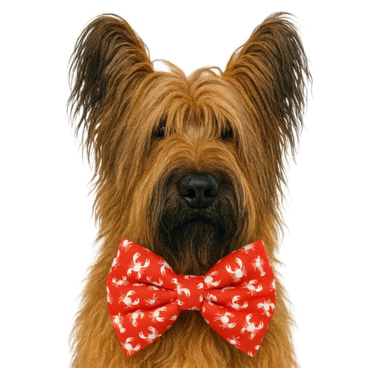 LOBSTERS (RED) - DAPPER DEXTER DOG BOW TIE