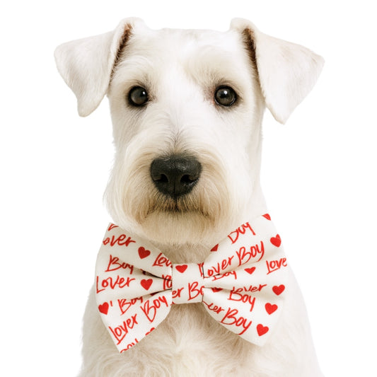 LOVER BOY - DAPPER DEXTER DOG BOW TIE