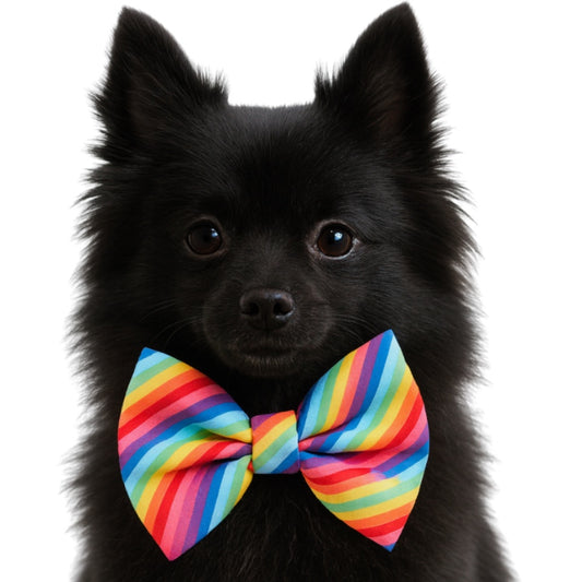 RAINBOW STRIPES- DAPPER DEXTER DOG BOW TIE