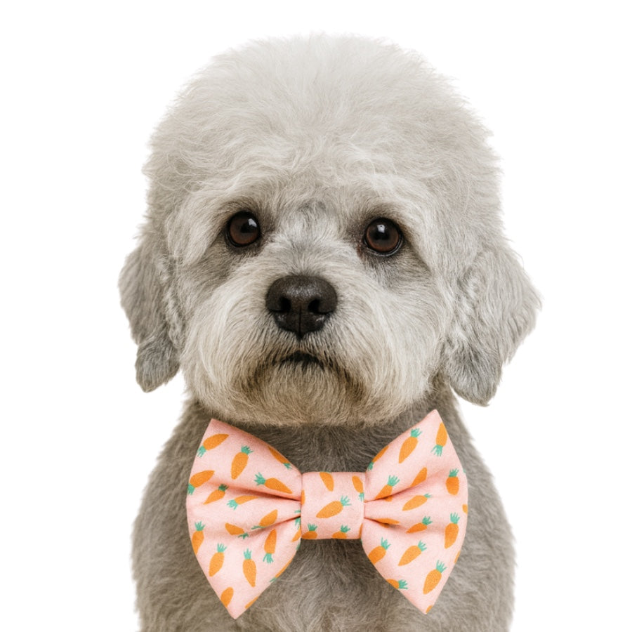 CARROT - DAPPER DEXTER DOG BOW TIE