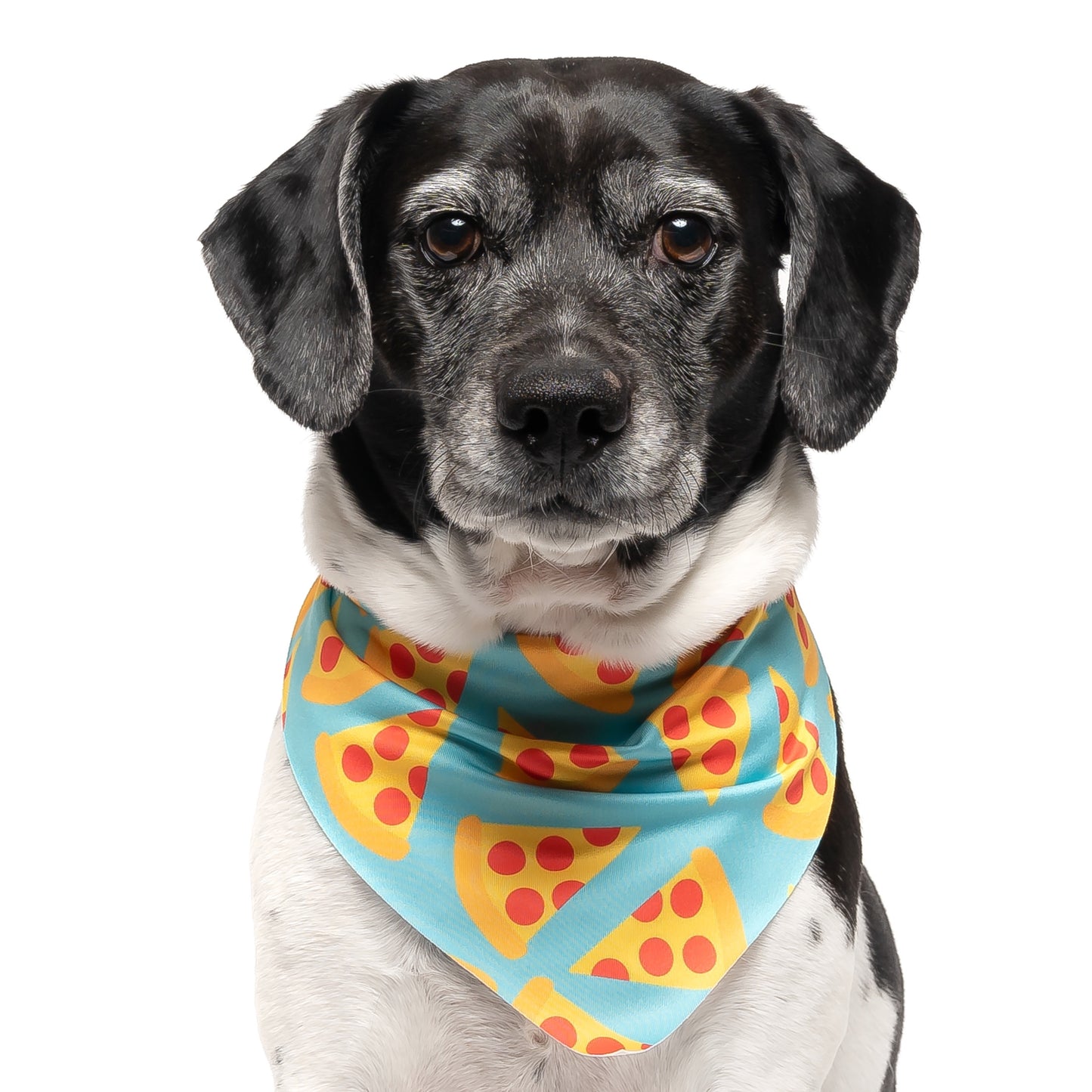 TEAL PIZZA - TRIANGLE DOG BANDANA BY DAPPER DEXTER