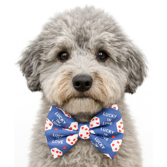 LUCKY IN LOVE - DAPPER DEXTER DOG BOW TIE