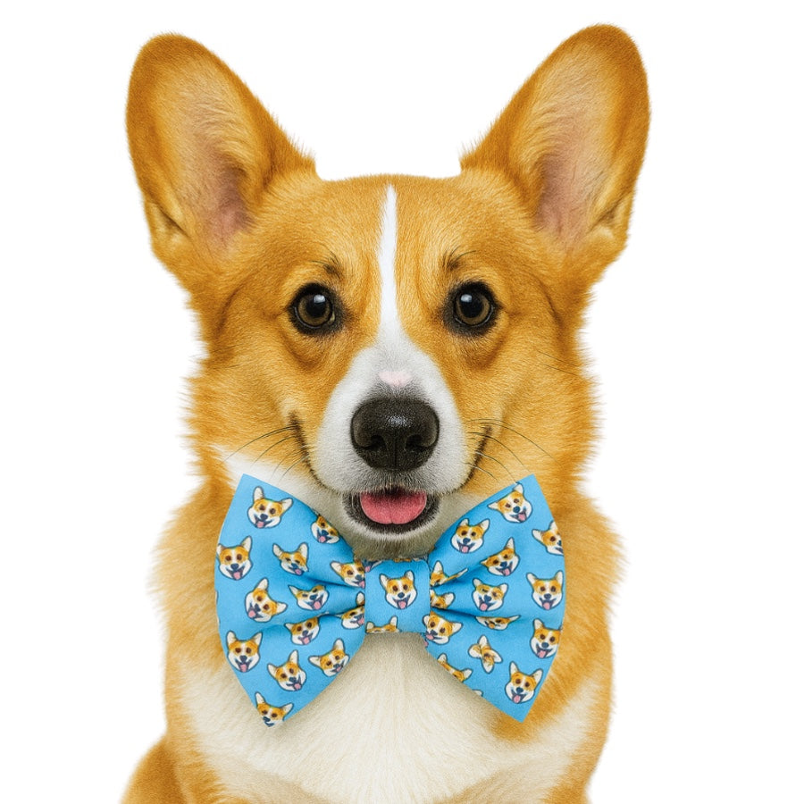 CORGIS - DAPPER DEXTER DOG BOW TIE