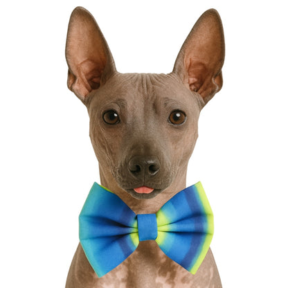 BLUE & LIME OMBRE - DAPPER DEXTER DOG BOW TIE