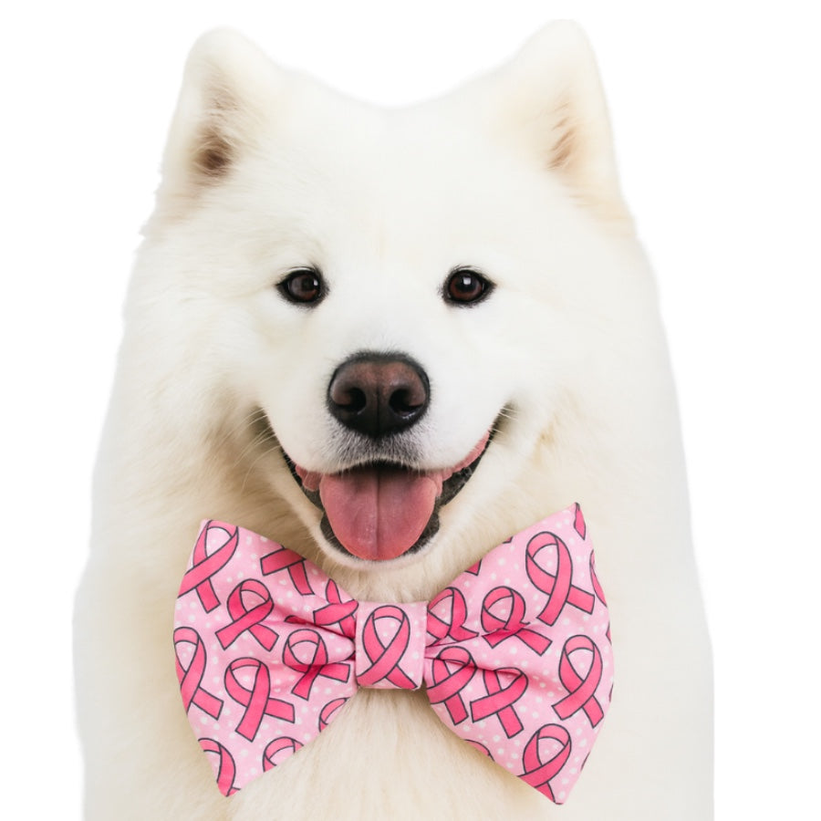 BREAST CANCER RIBBON- DAPPER DEXTER DOG BOW TIE