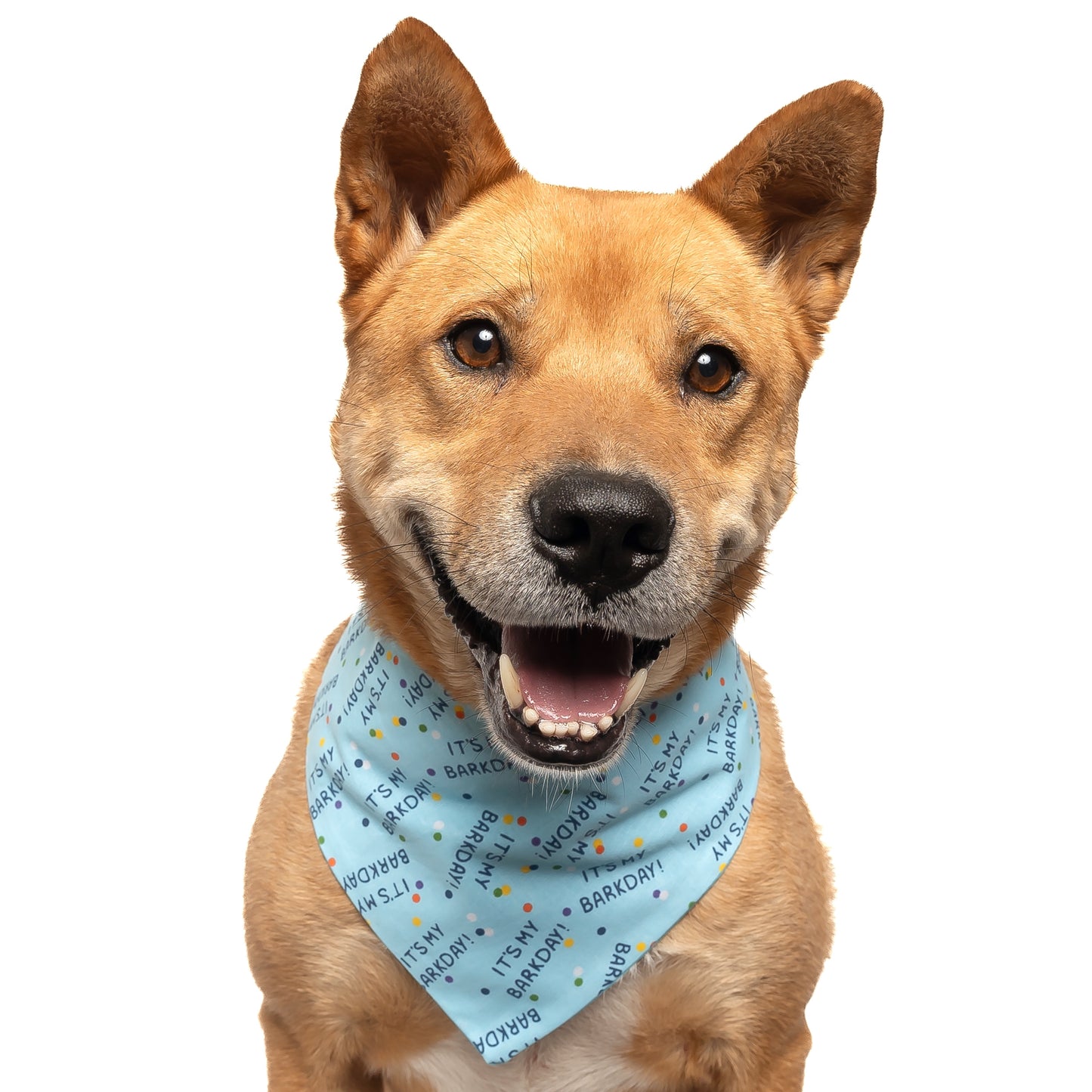 IT'S MY BARKDAY (BLUE) - CLASSIC DOG BANDANA