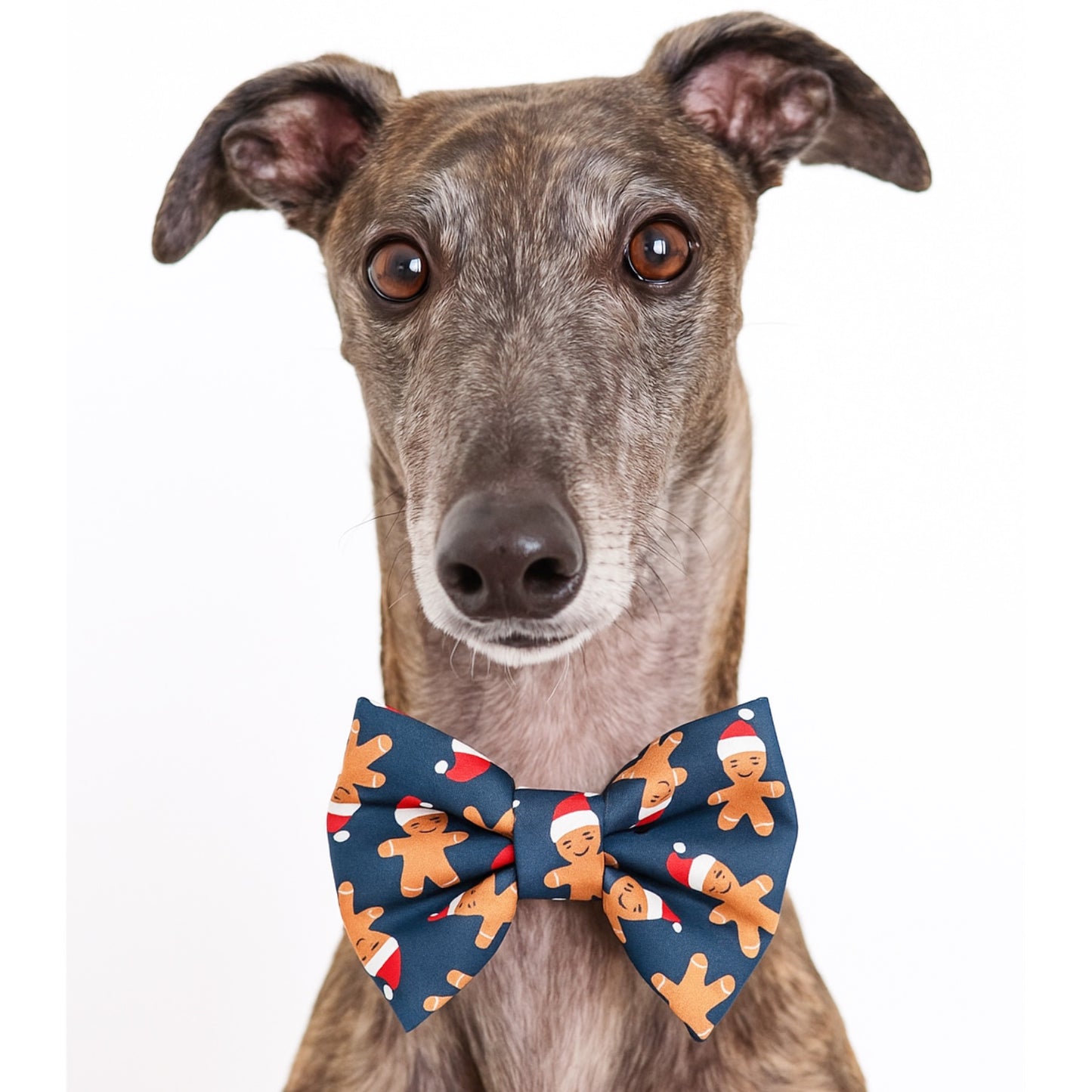 GINGERBREAD  - DAPPER DEXTER DOG BOW TIE