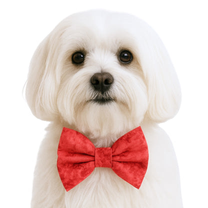 HOLIDAY RED - DAPPER DEXTER DOG BOW TIE