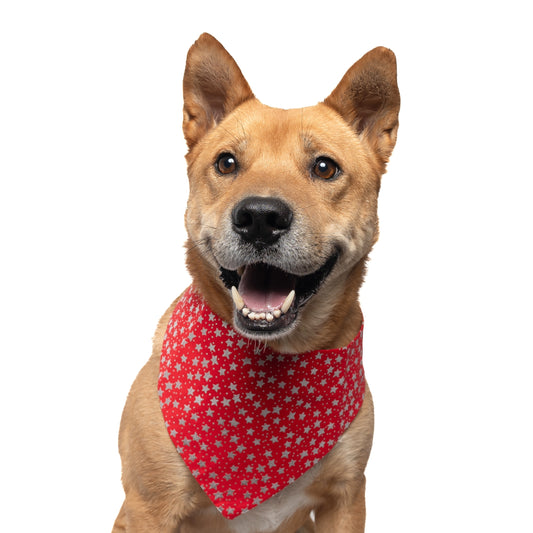 RED METALLIC STARS - CLASSIC DOG BANDANA