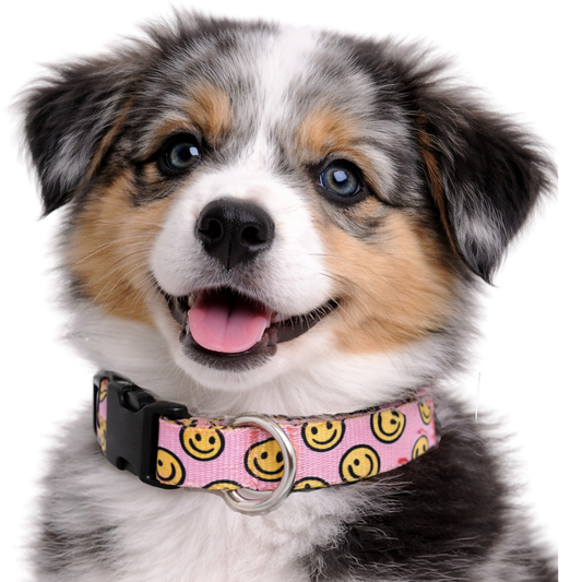 HAPPY AF (PINK) - EXTRA SMALL COLLAR