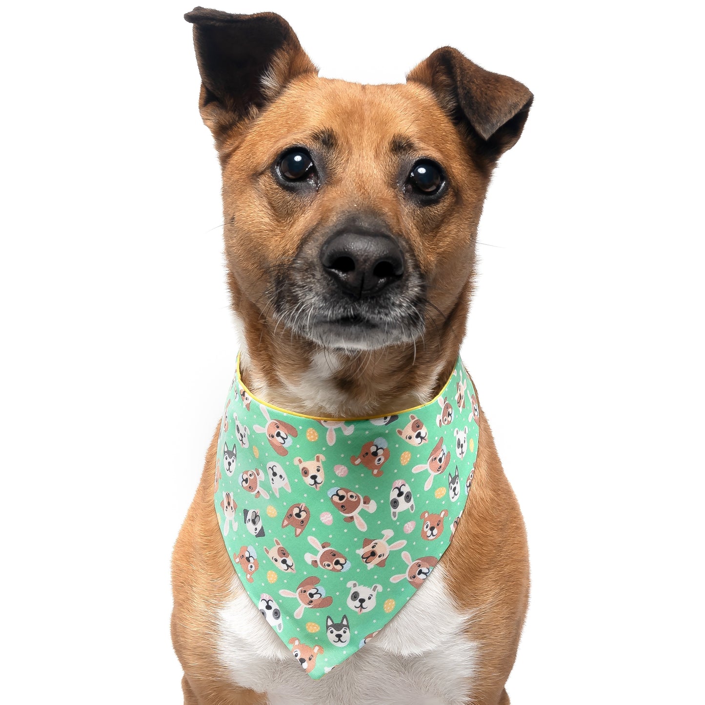 EASTER DOGS - CLASSIC DOG BANDANA