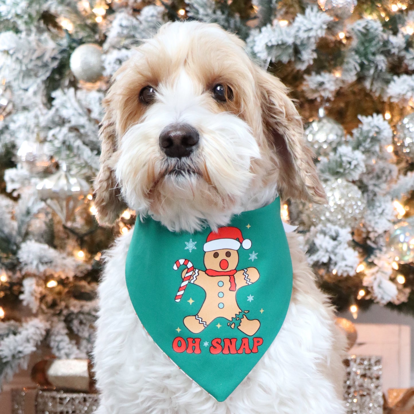 GREEN OH SNAP  -  CLASSIC DOG BANDANA