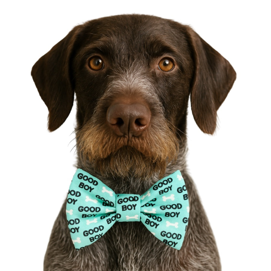 GOOD BOY  - DAPPER DEXTER DOG BOW TIE