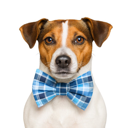 BLUE DAPPER PLAID - DAPPER DEXTER DOG BOW TIE