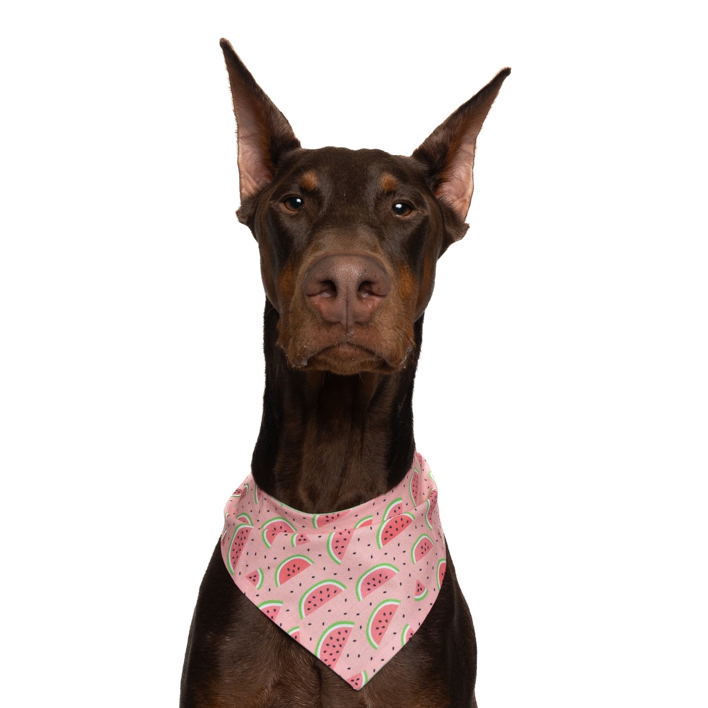 WATERMELON - CLASSIC DOG BANDANA