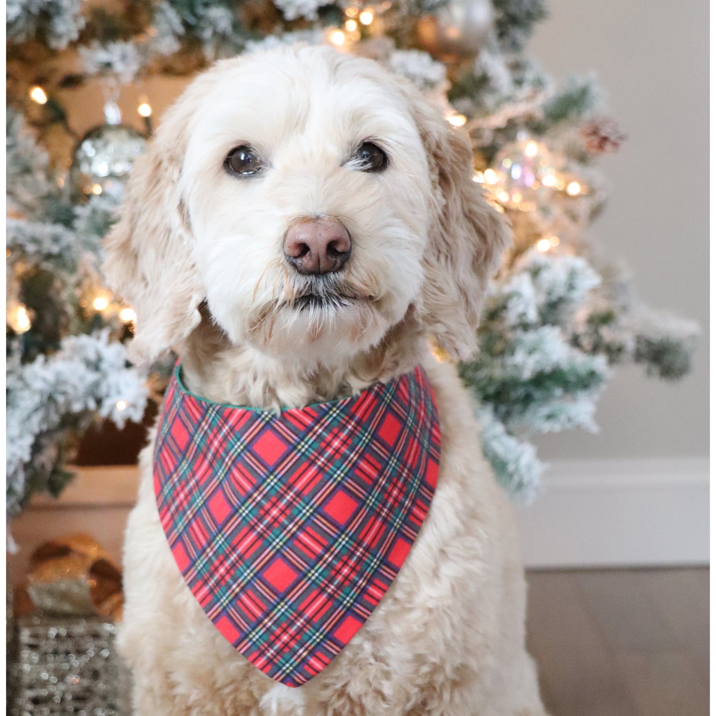 RED TARTAN PLAID -  CLASSIC DOG BANDANA