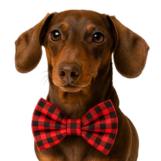 BUFFALO PLAID - DAPPER DEXTER DOG BOW TIE