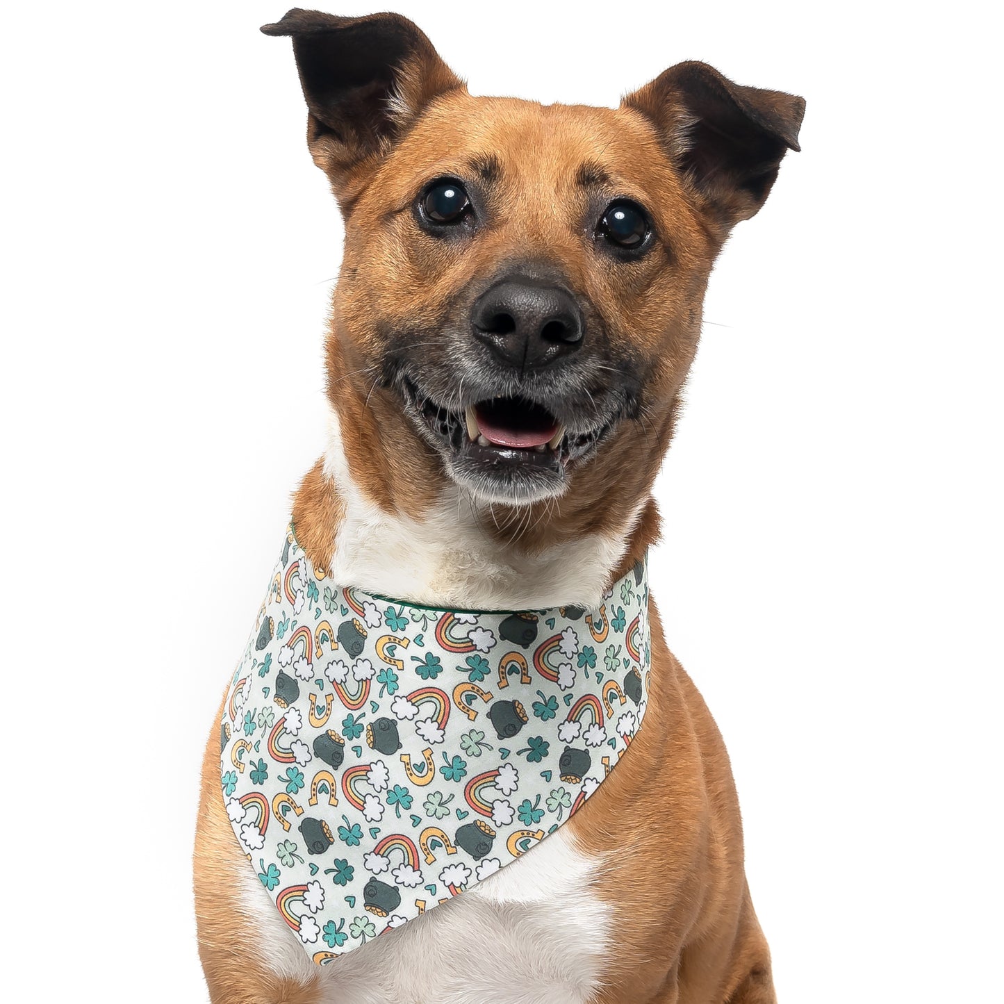 FEELING LUCKY - CLASSIC DOG BANDANA