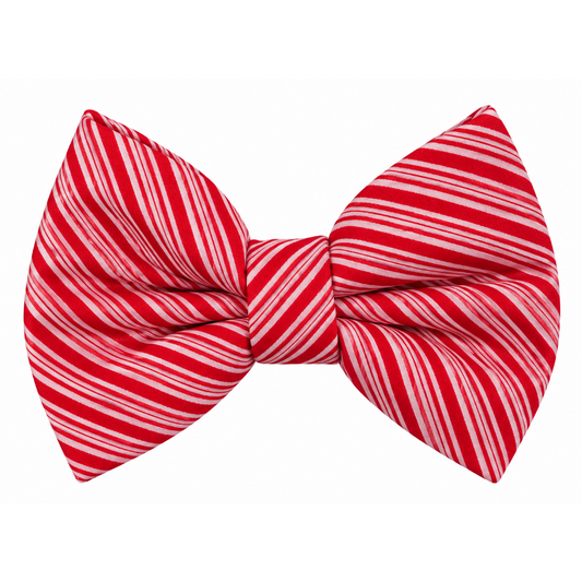 CANDY CANE STRIPES -  DAPPER DEXTER DOG BOW TIE