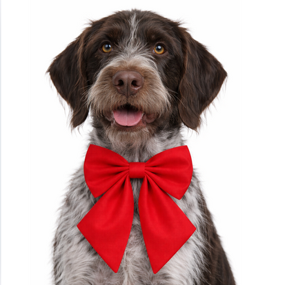 RED - SAILOR BOW