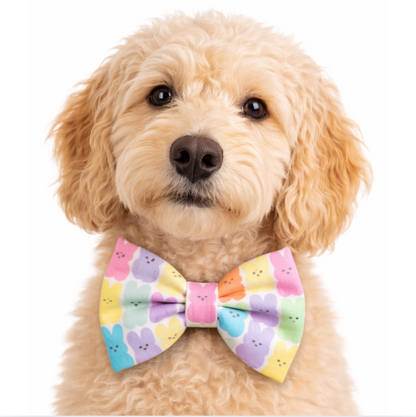EASTER MARSHMALLOW BUNNY  - DAPPER DEXTER DOG BOW TIE
