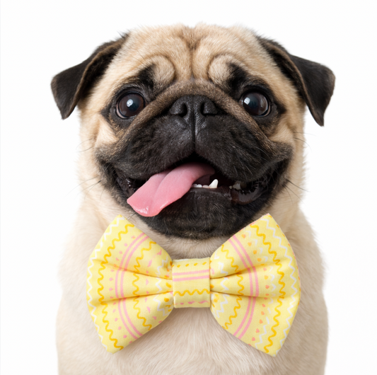 YELLOW EASTER EGG PATTERN - DAPPER DEXTER DOG BOW TIE