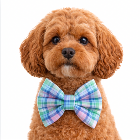 SPRING PLAID (LIGHT BLUE, PINK & GREEN) - DAPPER DEXTER DOG BOW TIE