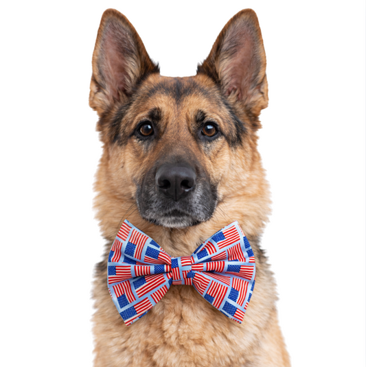 AMERICAN FLAG (LIGHT BLUE) - DAPPER DEXTER DOG BOW TIE