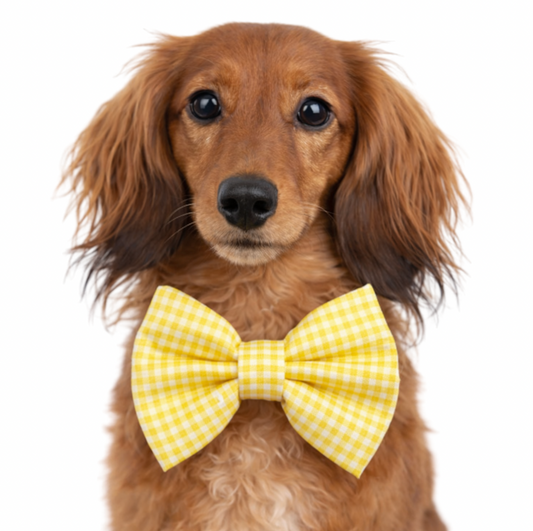 YELLOW GINGHAM - DAPPER DEXTER DOG BOW TIE