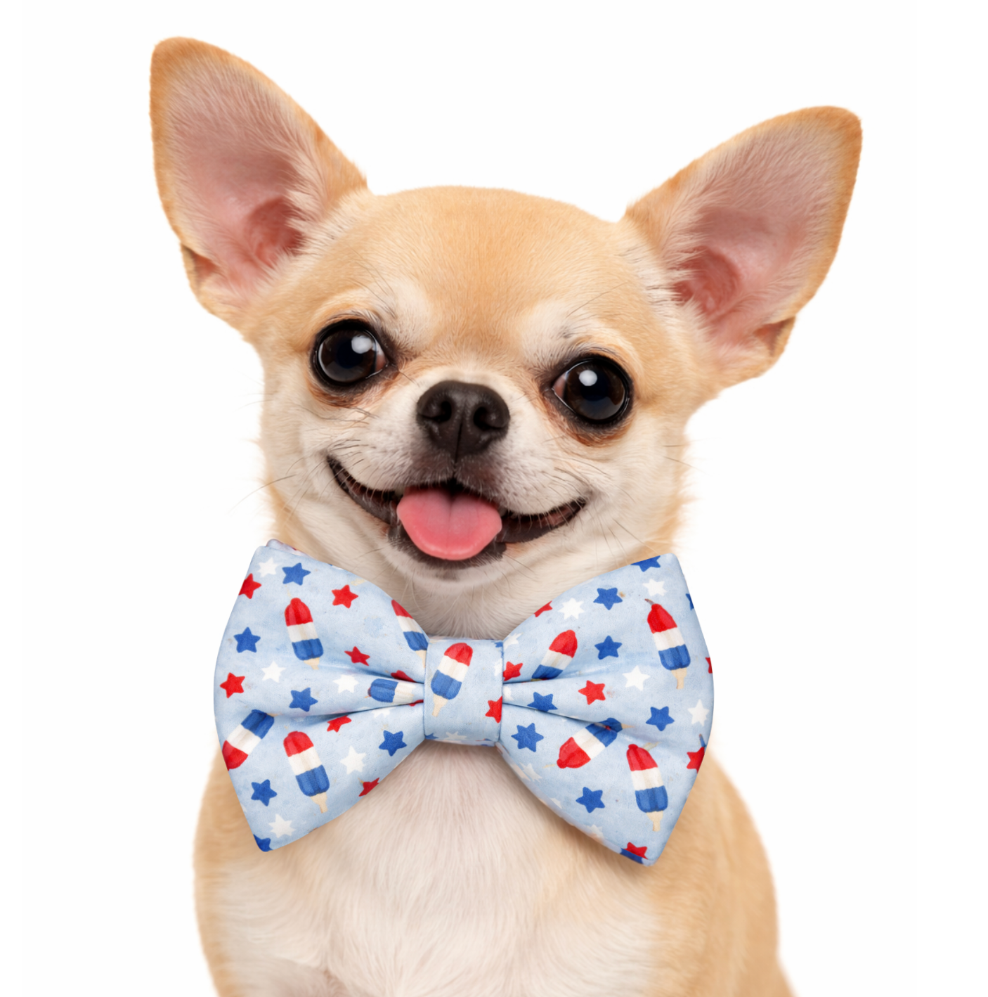 LIGHT BLUE ROCKET POPS  - DAPPER DEXTER DOG BOW TIE