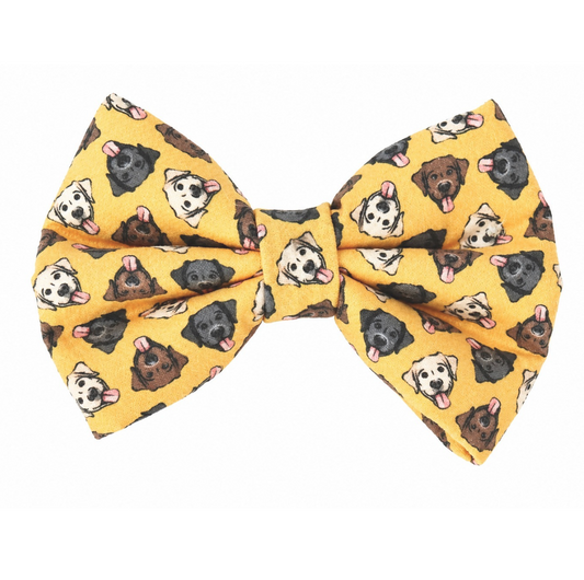 LABS - DAPPER DEXTER DOG BOW TIE
