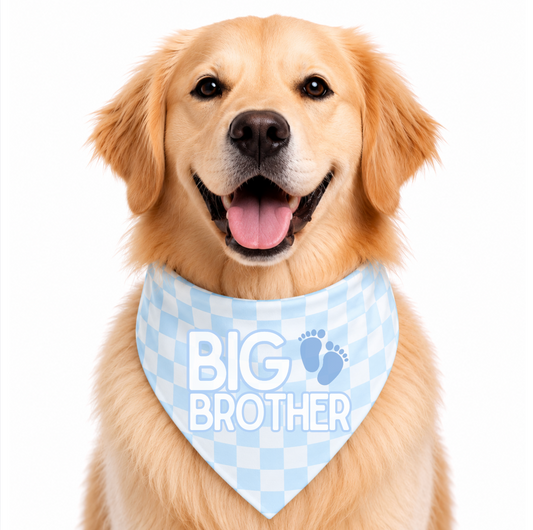 BIG BROTHER - CLASSIC DOG BANDANA