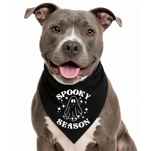 SPOOKY SEASON - CLASSIC DOG BANDANA