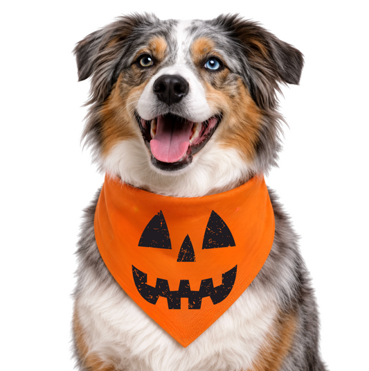 PUMPKIN - CLASSIC DOG BANDANA