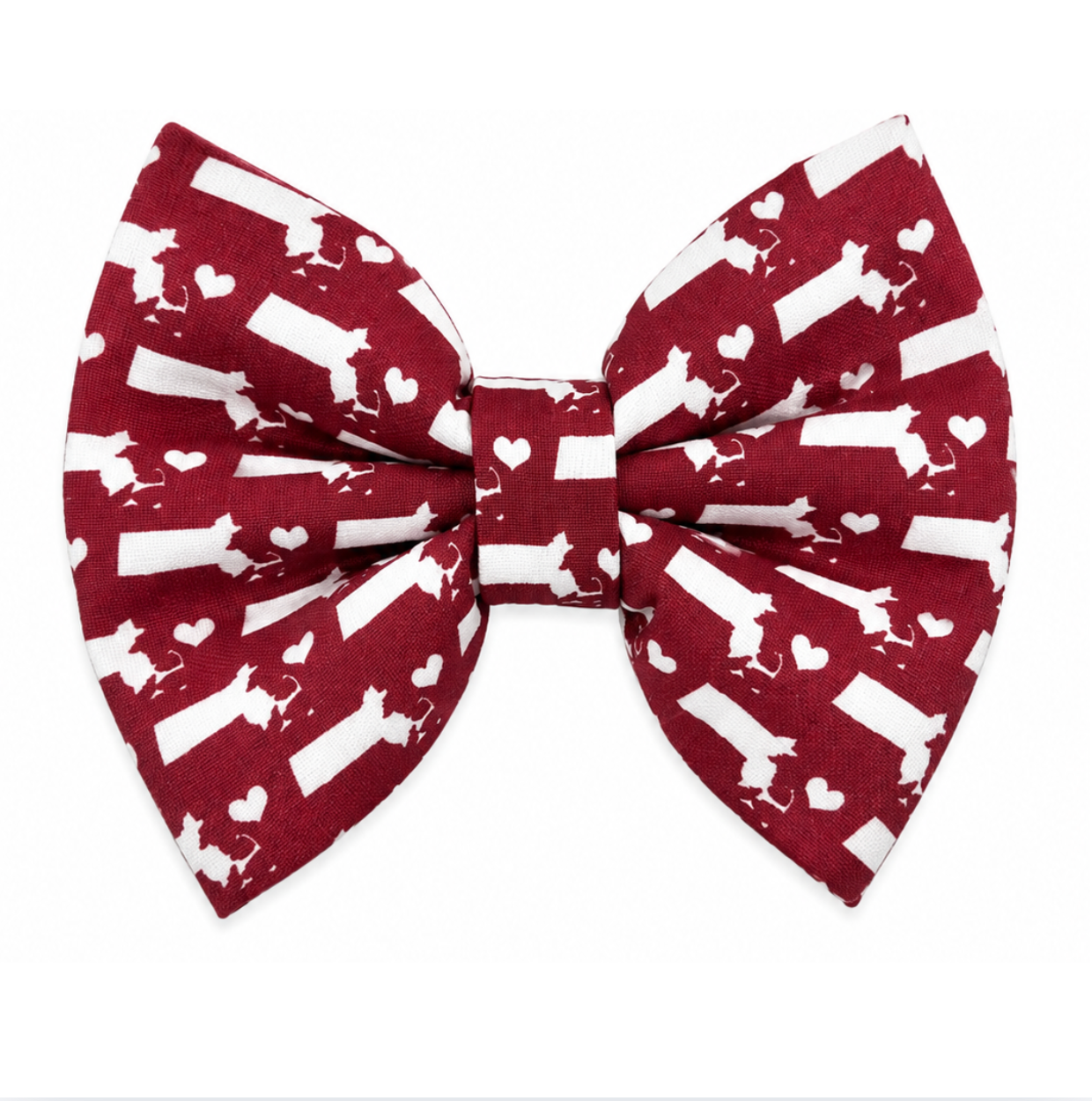 MASSACHUSETTS - DAPPER DEXTER DOG BOW TIE