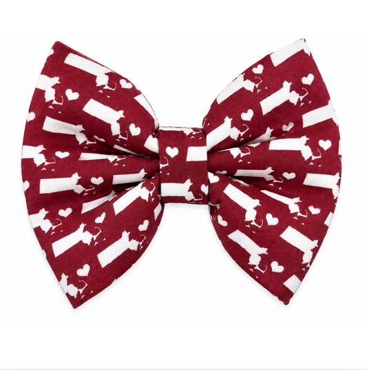 MASSACHUSETTS - DAPPER DEXTER DOG BOW TIE